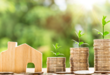 Economics Shaping Your Daily Choices