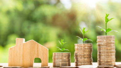 Economics Shaping Your Daily Choices